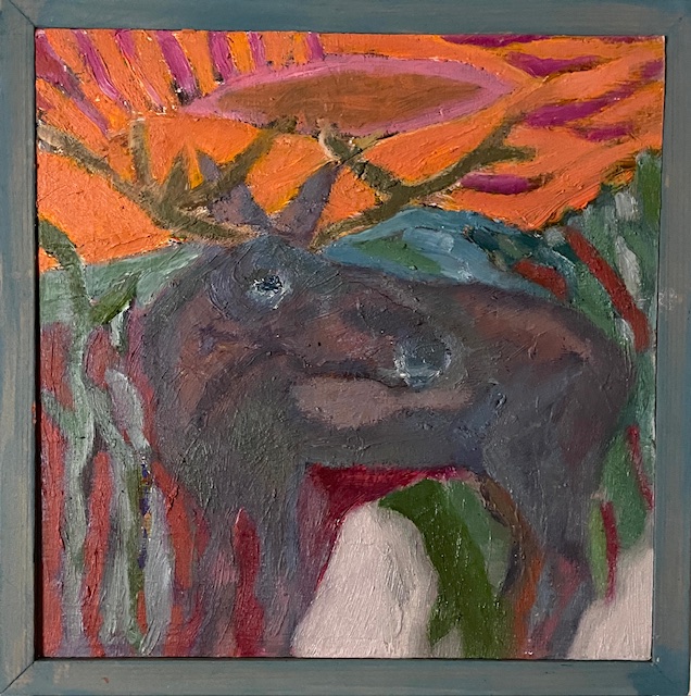 Älg i Norrsken